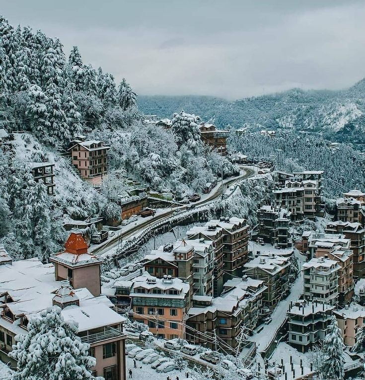 Shimla